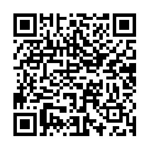 八成的冒险者都仔细阅读了这一道突如其来的蛮荒开拓令的内容二维码生成
