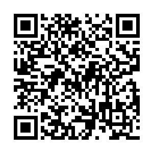 八戒和七戒大师差不多要等到千年后才能从那地方脱困二维码生成