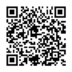 八株噬血妖藤疯狂的四下攻击不断涌来的水族妖军二维码生成