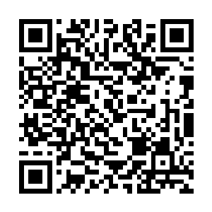 八百多劫后余生的中原许家后裔望着影像上的许紫烟二维码生成