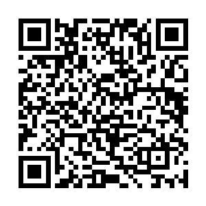 八百多磅的大眼金枪鱼很快的在渔夫之间又传了开来二维码生成