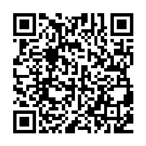 八百年过程中维持扩张的最关键就是通过异族通婚和文化融合二维码生成