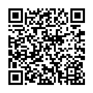 八百艘飞龙战舰纷纷发出一声声剧烈的轰鸣之声二维码生成