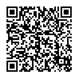 八阶光明圣师的出现不仅没有让兽神大陆和荒漠大陆的人感到担忧二维码生成