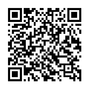 八阿哥和十四阿哥派人在四阿哥狩猎的偏僻深林设下了埋伏二维码生成