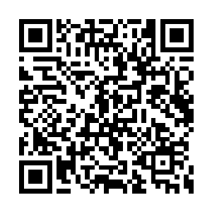 公主此行的目的多半就是因为传闻中的君主阁主二维码生成