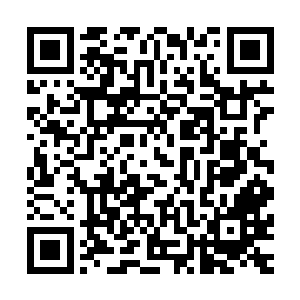 公主的每艘游艇在交给它的主人之前都要经过数次的航海测试二维码生成