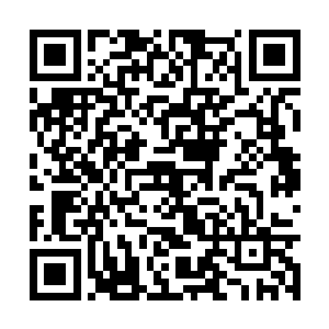 公主的闺蜜肯定都是身份很不俗的大家闺秀什么的二维码生成