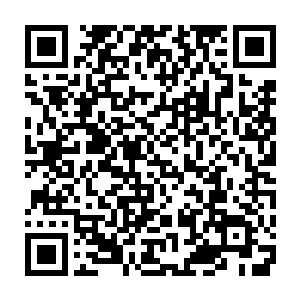 公司主营业务跟物流无交集的边学道是顺风扩张道路上极好的合作伙伴二维码生成