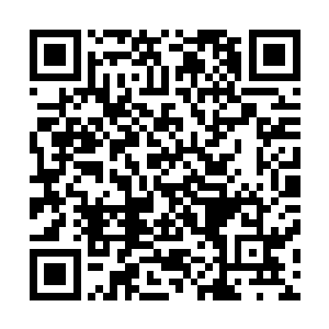 公司今年能够提供的苗木早就被周围几家绿化公司订购一空二维码生成
