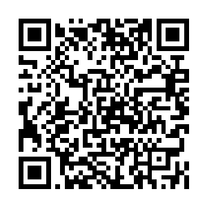 公司内部的员工还没有没眼色到当面询问的地步二维码生成