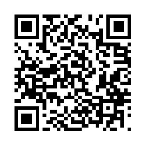公司在这里也没有什么信得过的朋友二维码生成