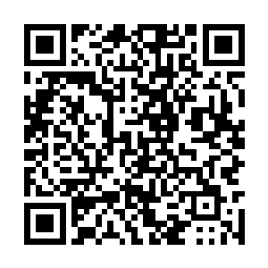 公司大大小小的人事变更都是需要罗威签字生效的二维码生成