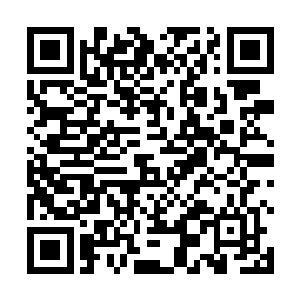 公司是想通过紫安的这次演唱会让她正式进军大陆市场二维码生成