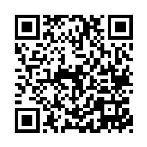 公司里的一众高层很自发的排起了一条长队二维码生成