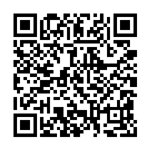 公司里的男同事们每次看到我那眼珠子都是绿的二维码生成