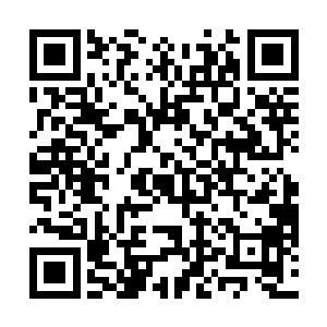 公姓锦袍青年才知道能够无视圣域强者领域压迫的恐怖二维码生成