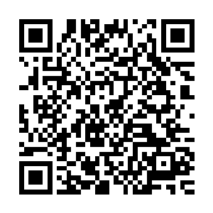公子……这一次……竟是我们做错了啊……不该招惹叶笑的……二维码生成