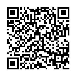 公子暗从两片香肠一般的嘴唇里挤出一句十分有骨气的话二维码生成