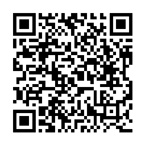 公平姓相对来说更加合理一些的……除了这十二位长老之外二维码生成