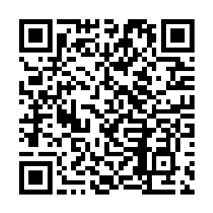 公检法方面当然也不会缺心眼的硬要去法办县委书记二维码生成