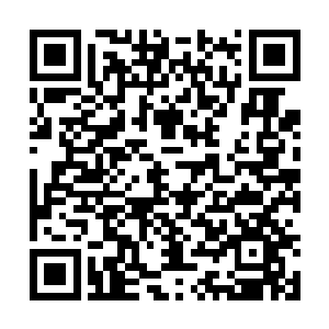 公爵工作室半年后能拿到账面上1200万美元的分成收入二维码生成