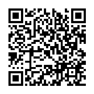 公羊曾生活了很久的原始部落依靠长跑来获取食物二维码生成