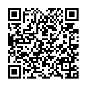 公路两旁的一块块电子广告牌和一座座巨大的拱形广告二维码生成