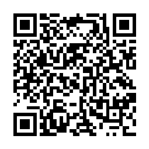 公鸡母鸡拜过堂就被用笼子装在一起放到新房去入洞房去了二维码生成