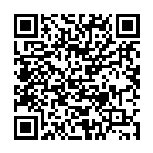 六个圆满皇境可以轻易控制住……这该是什么力量二维码生成