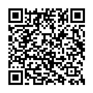 六个大儒在塌陷的空间中连挣扎一下都没来得及二维码生成