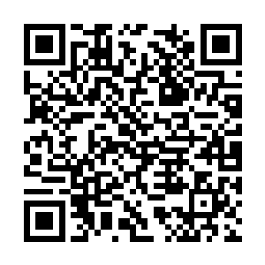 六个猎户开始在京城无头苍蝇似的向人打听朱平安二维码生成