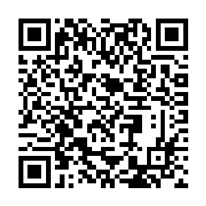 六公子必然以过人的意志力才能克制食用灵药的冲动二维码生成