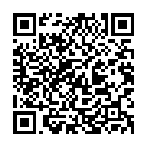 六名手持王者之兵的人齐齐被能量余波冲击的退后了十余米距离二维码生成