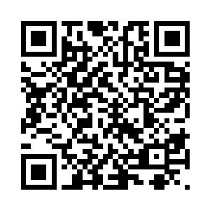 六大妖族强者们目不转睛的看着下方的一幕二维码生成