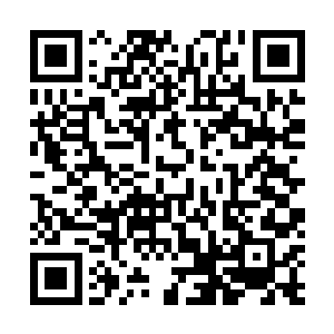 六大影业公司背后的主流媒体也加入到了批判和炒作摩根二维码生成