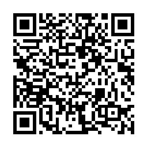 六头怪物愣愣地看着昊天域界和我神识海中的动静二维码生成