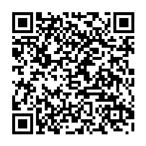 六婶母身上隐约有当日我在英亲王府碰了那盆金玉兰的催动心血发作之毒二维码生成