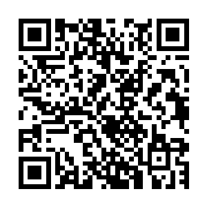 六年前凤之遥回京那一次终究没有听从徐鸿彦的劝告回去看他二维码生成
