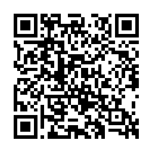 六弟又怎会选择八部蛟族之中的白鳞虎蛟族下手二维码生成