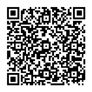 六支黑白相交的堕天使羽翼也忽然从暴食背后那已经快没有半点血肉的脊椎骨上生长而出二维码生成