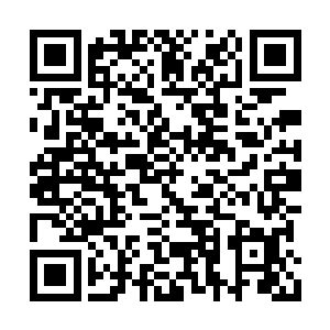 六耳妖猿都忘记了自己手里面还攥着一只猎物了二维码生成