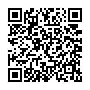 六耳猕猴只能好像一个泼妇一样用指甲去抓猴子二维码生成