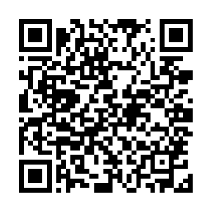 六道无比恐怖的毁天灭地的攻击直接朝着食脑兽的身上轰去二维码生成
