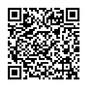 六道飘零撑着一把红色的花伞走在陌生的街道上二维码生成