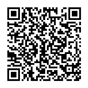 六阎罗鱼剩下那几条不住舞动的触须突然同时停止了一切活动的迹象二维码生成