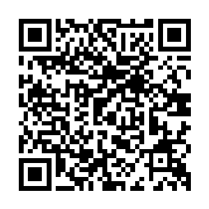 六阎罗鱼那肉球般的身躯突然像被切成两半的西瓜一样左右分开二维码生成