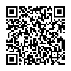 六阳之下的金乌族的精锐几乎是瞬间便是在那雷霆之下化为齑粉二维码生成