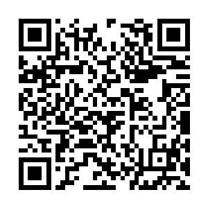 兰博基尼已经被战士拆成了零件搬到了军用卡车里二维码生成