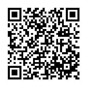 兰博基尼的排气声浪又是出了名的悦耳和有激情二维码生成